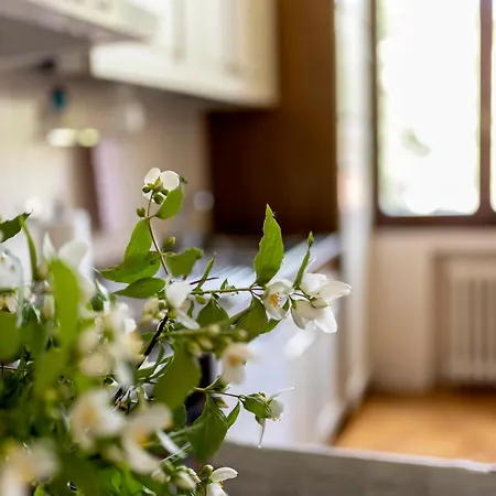 Apartment D'artiste Parma