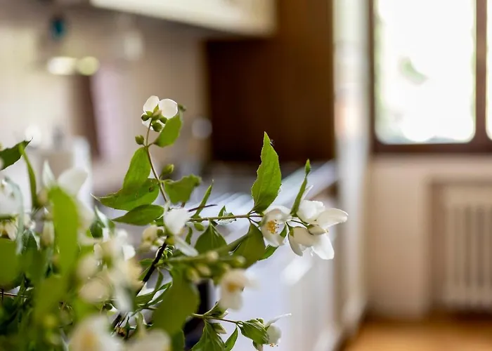 Apartment D'artiste Parma